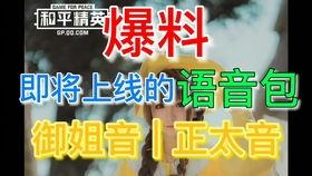 和平体验服最新活动爆料,揭秘神秘爆料,畅享刺激战场盛宴