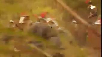 群星会在线观看,揭秘群星会精彩瞬间