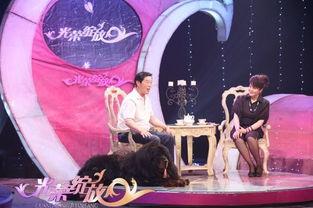 北京文艺频道在线观看,在线观看，尽享艺术盛宴  第3张