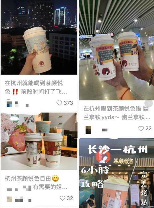 奶茶最新爆料,揭秘网红奶茶背后的秘密与趋势