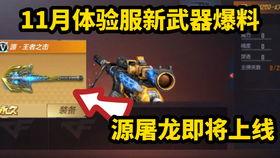 体验服最新爆料cf黑市,体验服爆料揭秘神秘交易市场  第2张