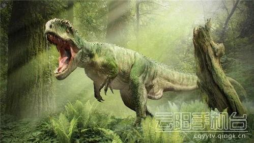 霸王龙最新爆料新闻,揭秘史前巨兽的神秘生活  第2张