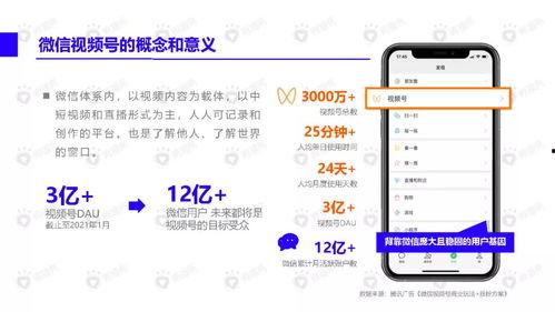 爆料网红裙子视频下载,揭秘时尚潮流背后的秘密  第3张